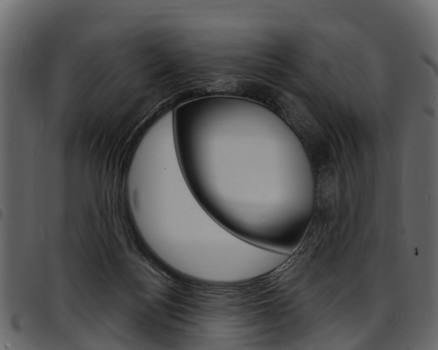 X0000097610172200802290805