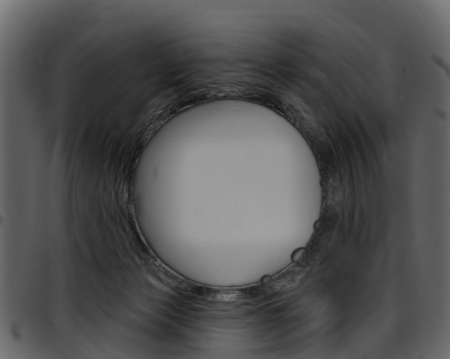 X0000097610173200802290805