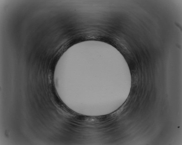 X0000097610174200802290805