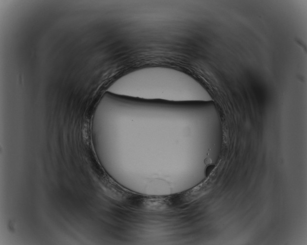 X0000097610175200802290805