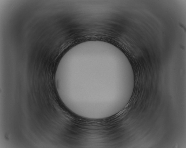 X0000097610176200802290805