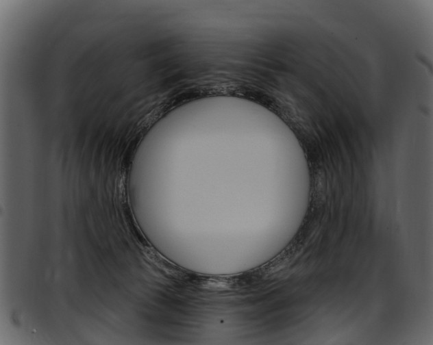 X0000097610177200802290805