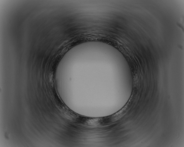 X0000097610178200802290805