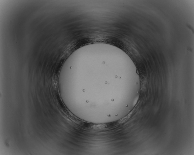 X0000097610179200802290805