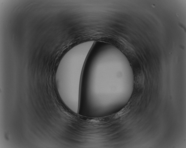 X0000097610180200802290805