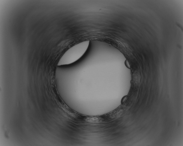 X0000097610181200802290805