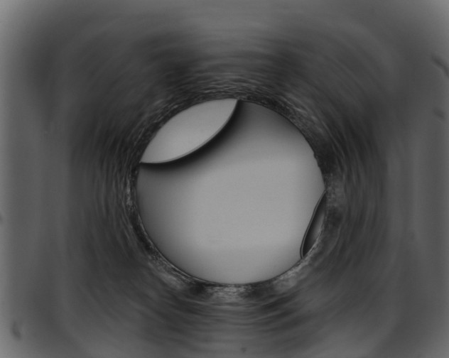 X0000097610182200802290805