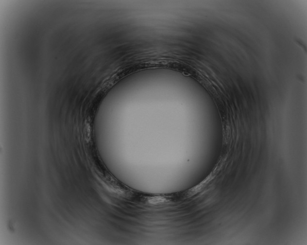 X0000097610183200802290805