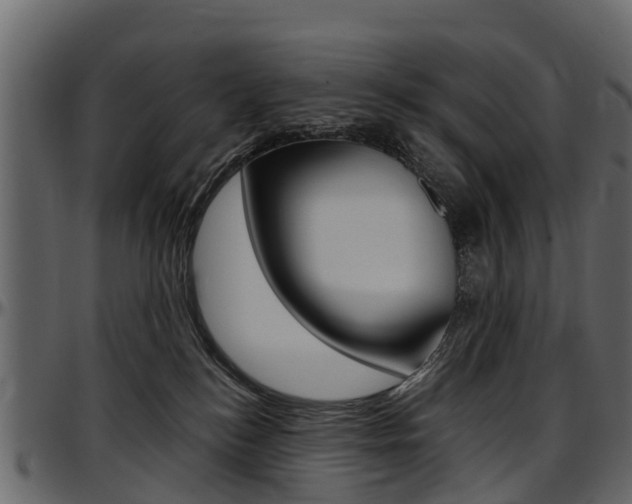 X0000097610184200802290805