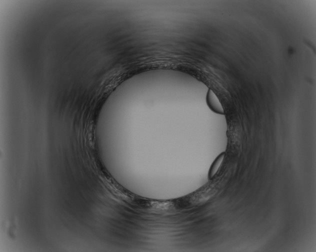 X0000097610185200802290805