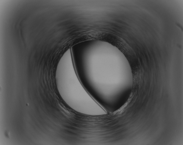 X0000097610186200802290805