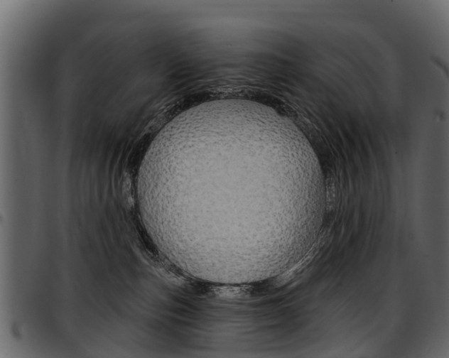 X0000097610187200802290805