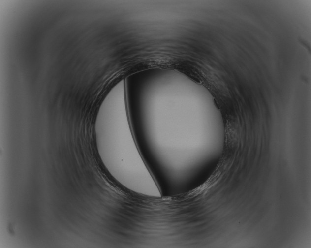 X0000097610188200802290805