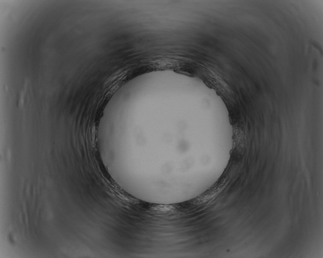X0000097610189200802290805