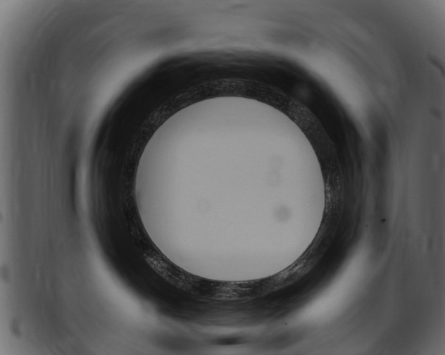 X0000097610190200802290805