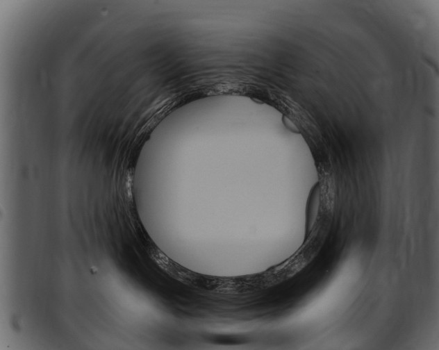 X0000097610191200802290805