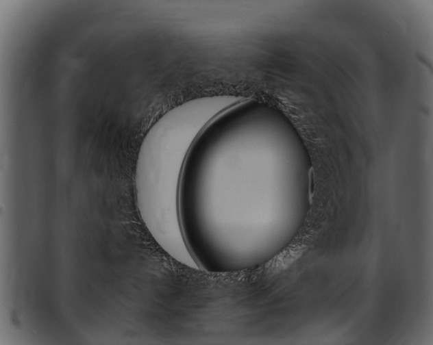 X0000097610192200802290805