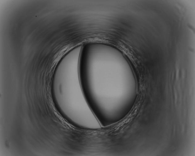 X0000097610193200802290804