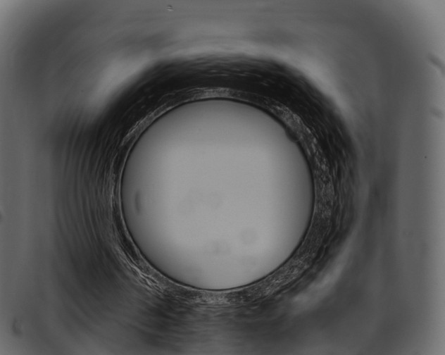 X0000097610194200802290804