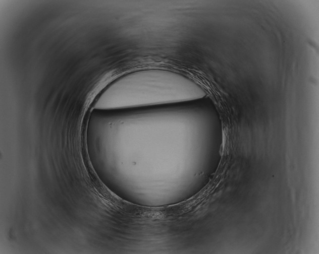 X0000097610195200802290804