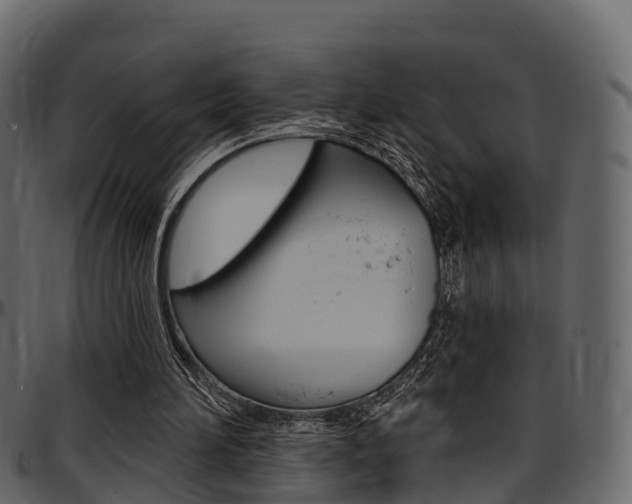 X0000097610196200802290804
