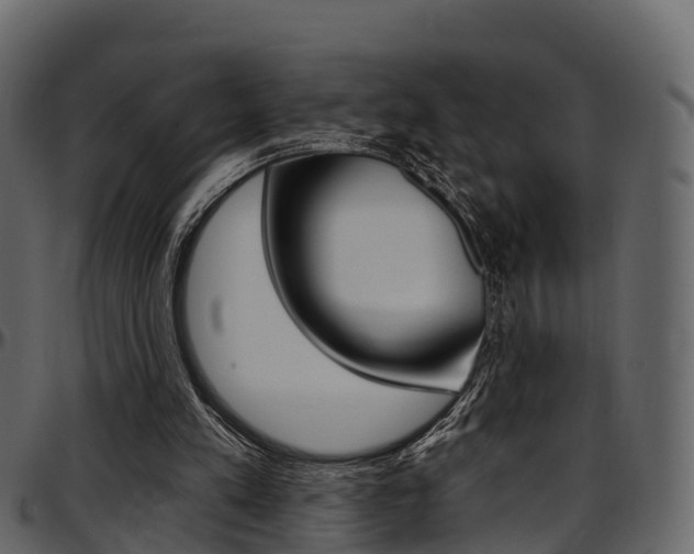 X0000097610197200802290804