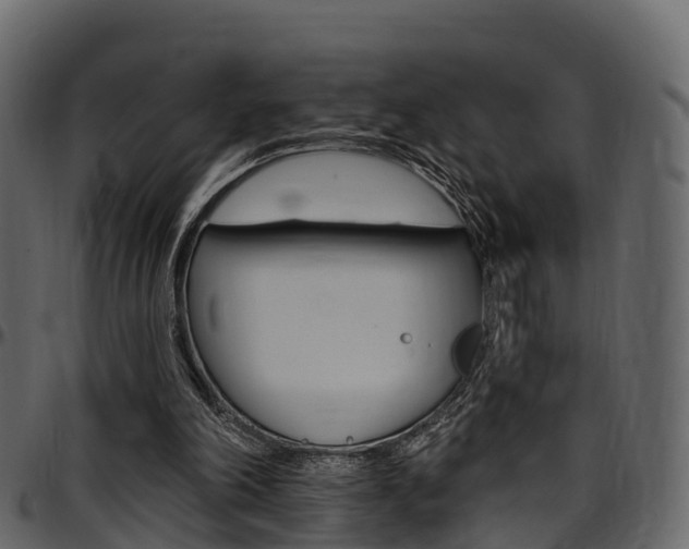 X0000097610198200802290804