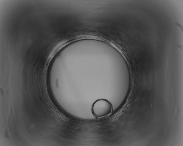 X0000097610199200802290804