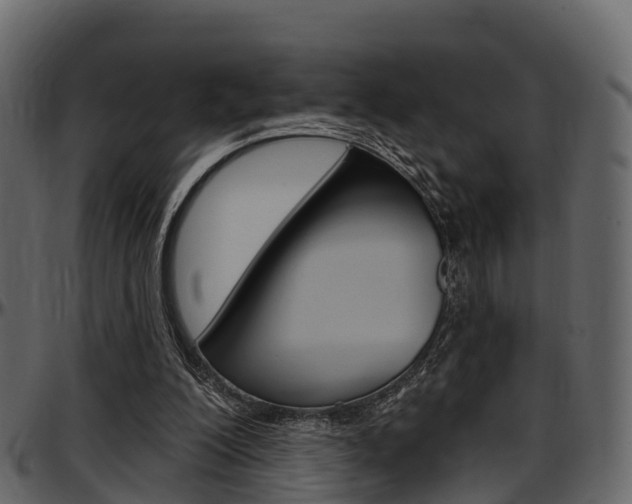 X0000097610200200802290804