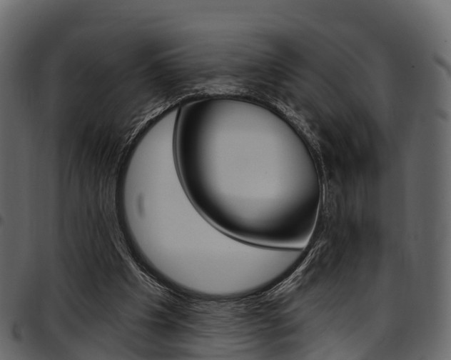 X0000097610201200802290804