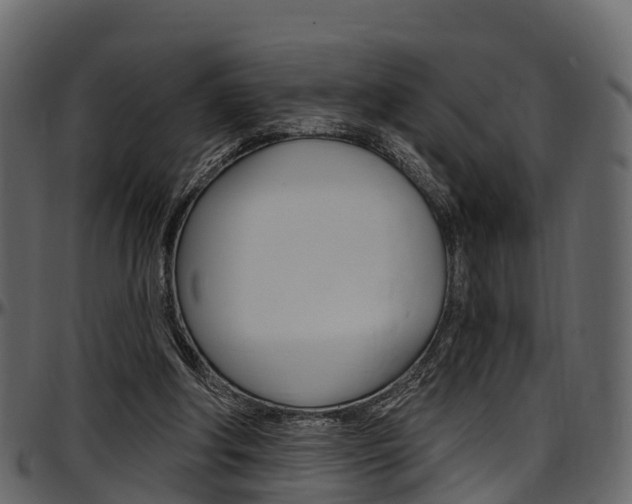 X0000097610202200802290804