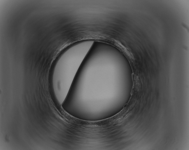 X0000097610203200802290804