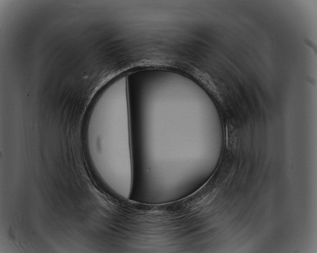 X0000097610204200802290804