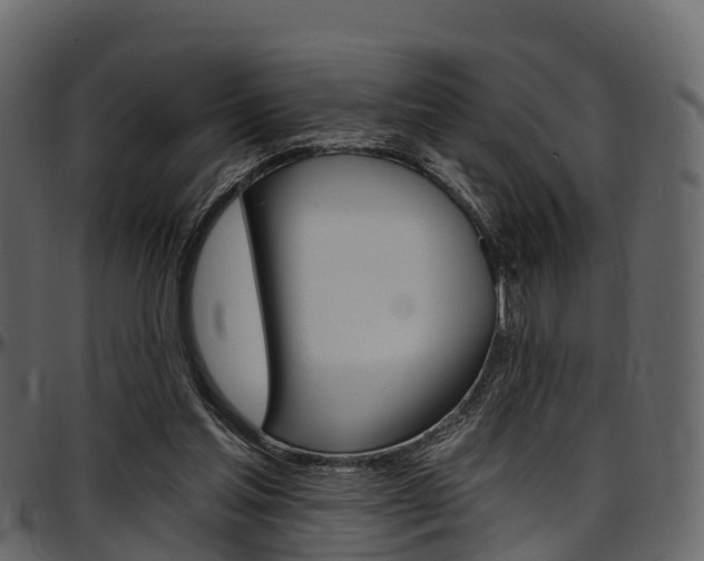 X0000097610205200802290804