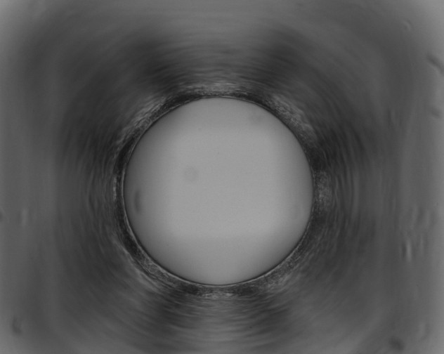 X0000097610206200802290804