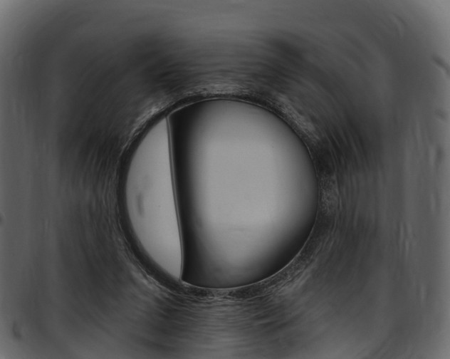 X0000097610207200802290804