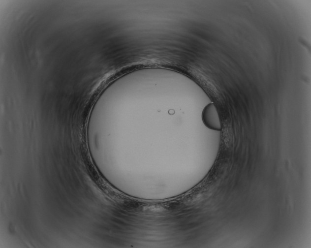 X0000097610208200802290804
