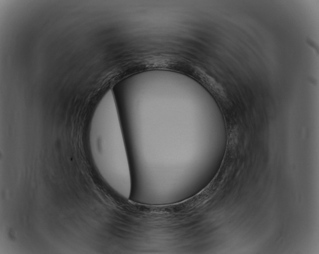 X0000097610209200802290804