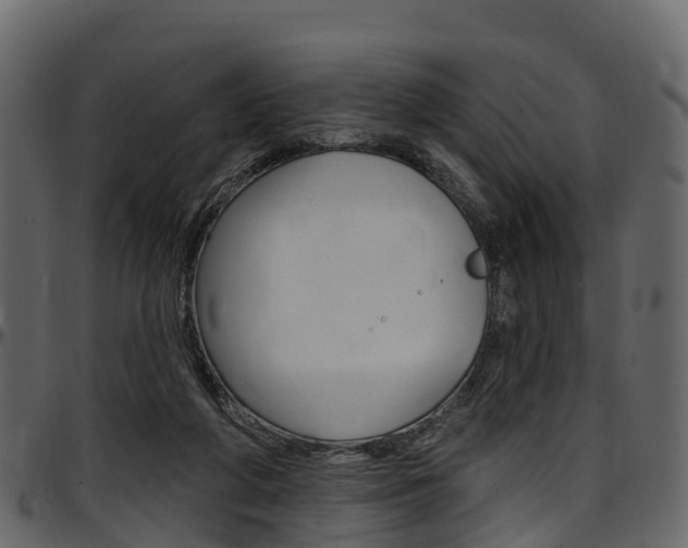 X0000097610210200802290804