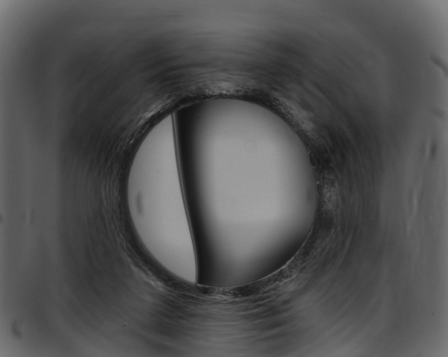 X0000097610211200802290804