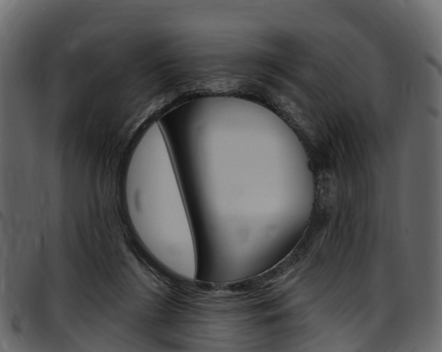 X0000097610212200802290804