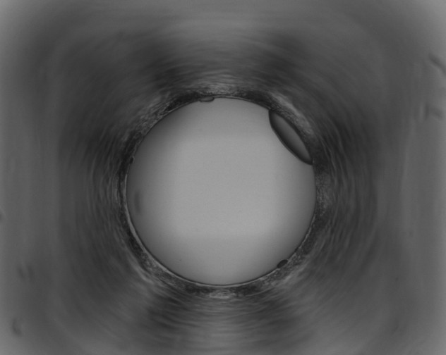 X0000097610213200802290804