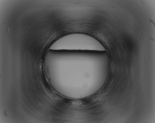 X0000097610214200802290804