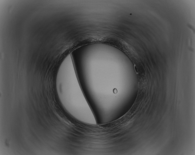 X0000097610215200802290804