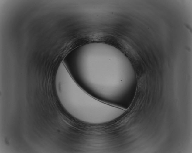 X0000097610217200802290804