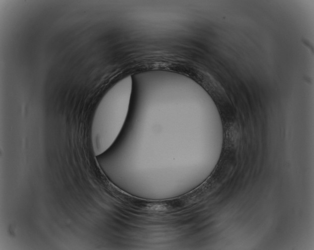 X0000097610218200802290804