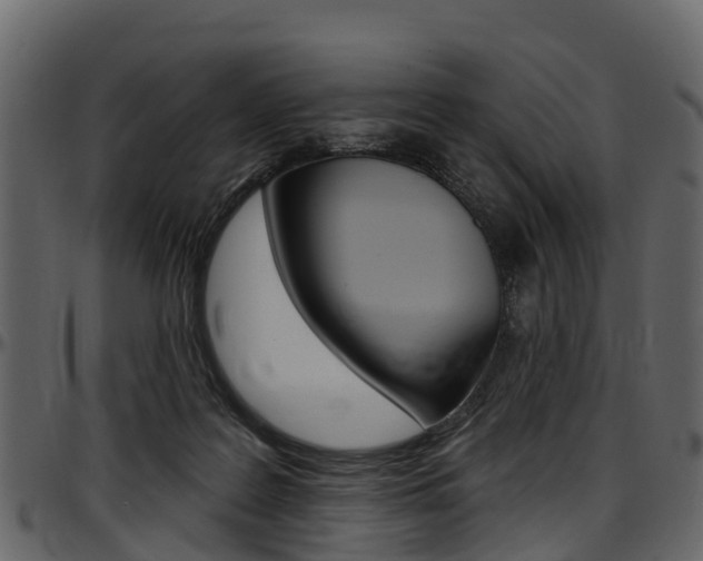 X0000097610219200802290804