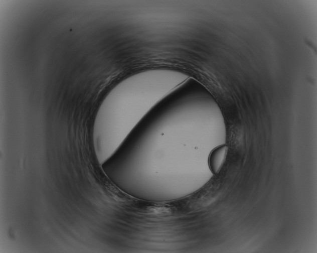 X0000097610220200802290804