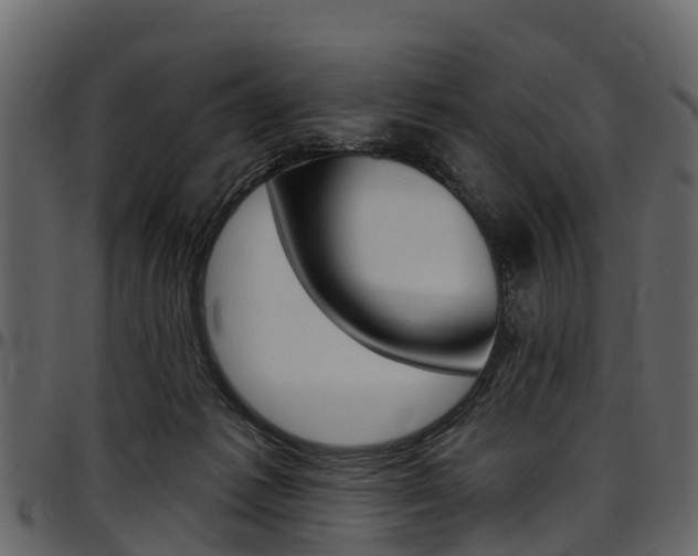 X0000097610221200802290804