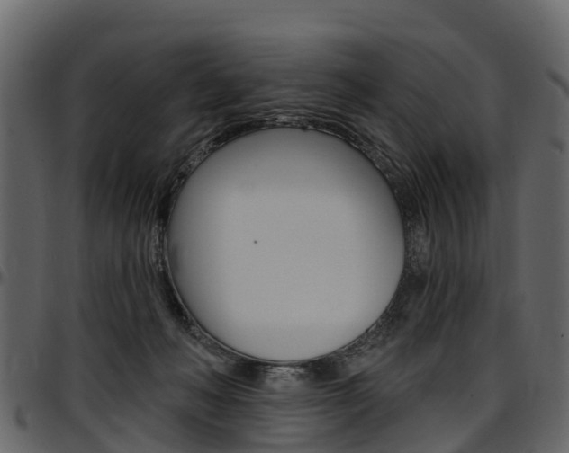 X0000097610222200802290804